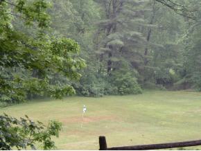 254 Grafton Road Townshend, VT 05353 - Photo 7 of 8