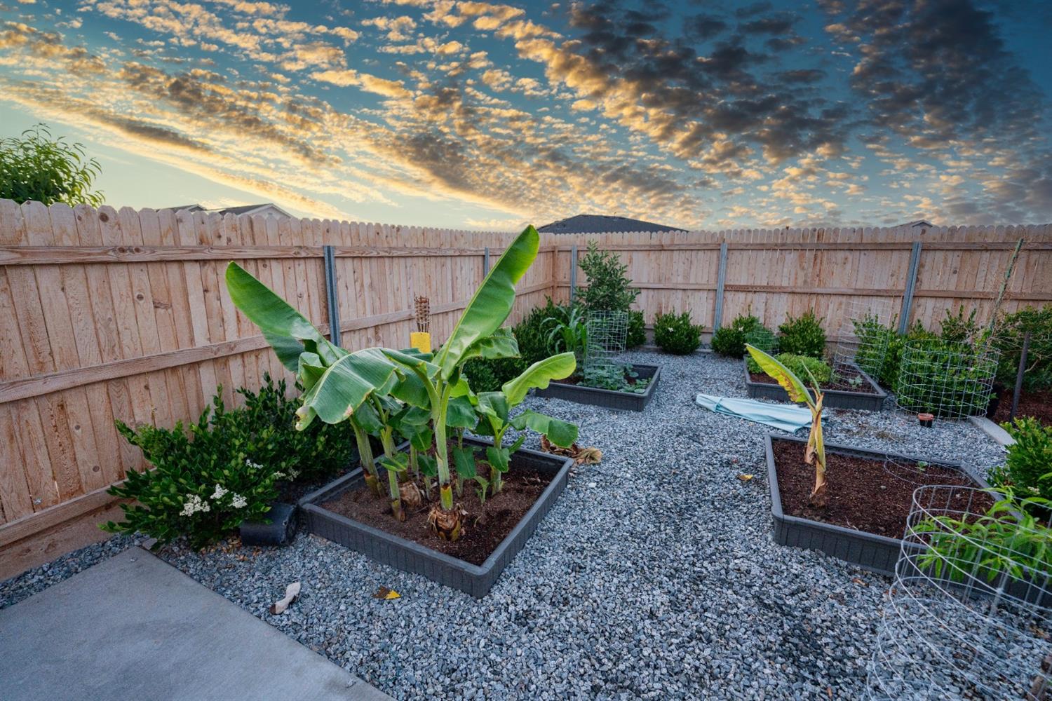 1818 Softwind Drive Tulare, CA 93274 - Photo 43 of 46 a view of a garden with a bench in patio