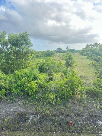 $27,500 | 16220 Northwest 264th Street, Okeechobee, FL 34972