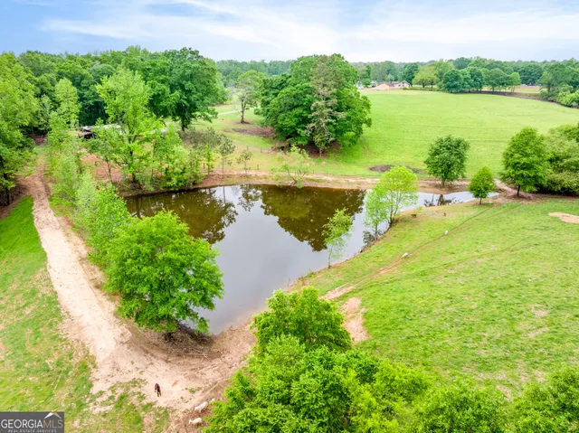 a view of a big yard with large trees