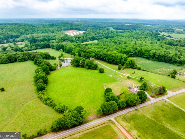 a view of a garden with a swimming pool