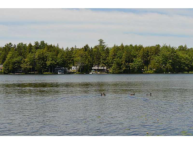 8 Beech Ridge Lane Otis, ME 04605 - Photo 9 of 34 Other. Beech Hill Pond.. Family of ducks