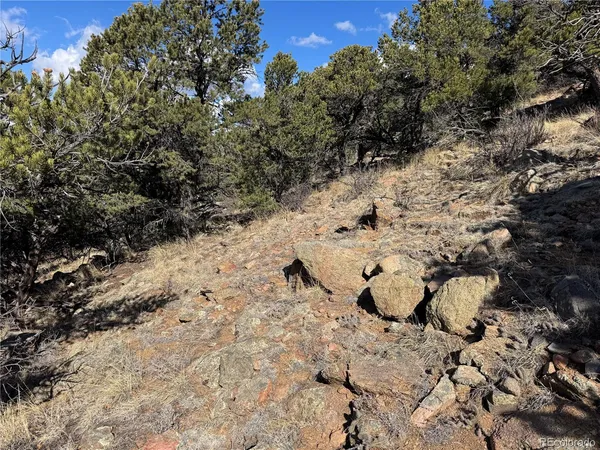 a view of a backyard of snow