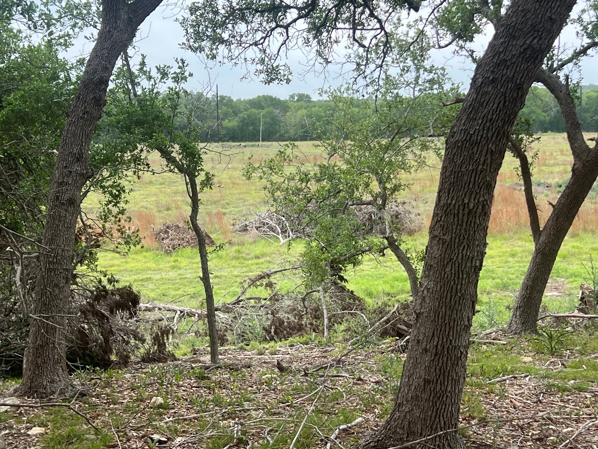Tbd Narrows Road Blanco, TX 78606 - Photo 8 of 18
