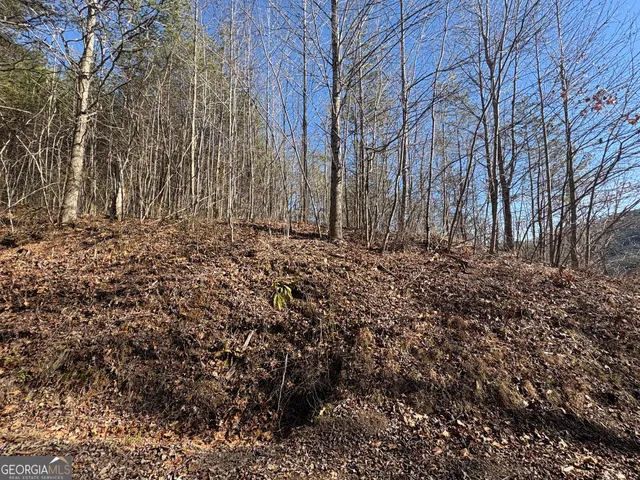 a view of a large yard with lots of green space