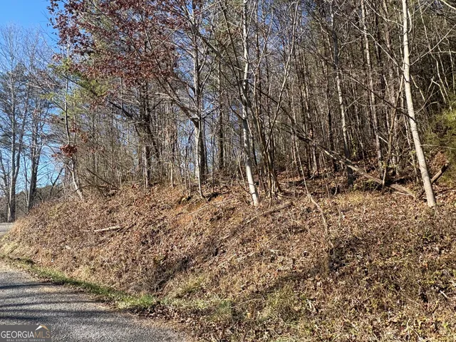 a view of a yard with a tree
