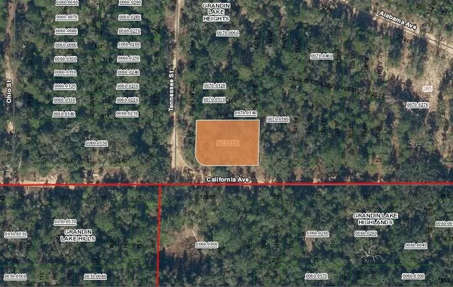 an outdoor space with garden view and tree