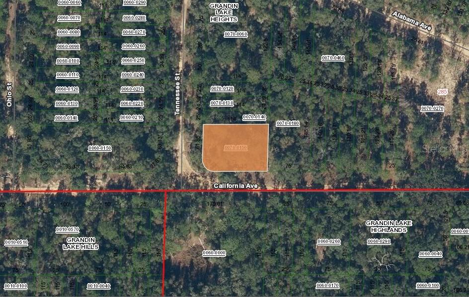 304 California Avenue Interlachen, FL 32148 - Photo 2 of 3 an outdoor space with garden view and tree