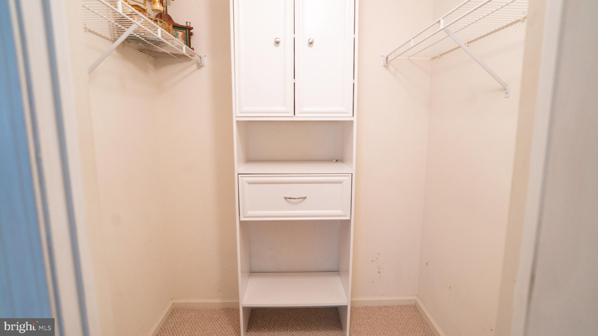 7101 Centennial Station Warminster, PA 18974 - Photo 18 of 27 Primary Walk-in Closet