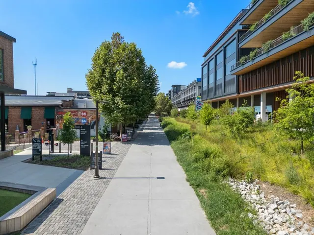 a view of a street with potted plants and large trees