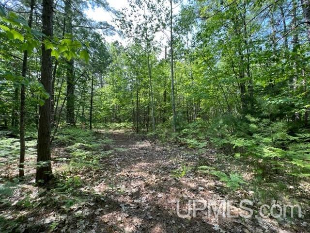 Tbd Powell Lake Road Wetmore, MI 49895 - Photo 9 of 13