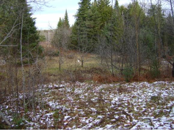 538 Mink Farm Road Lowell, VT 05847 - Photo 5 of 17