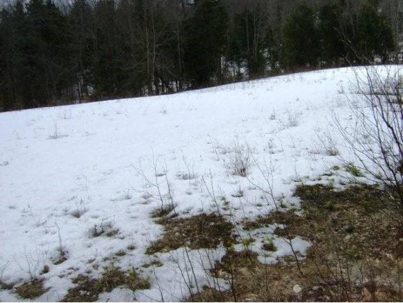538 Mink Farm Road Lowell, VT 05847 - Photo 7 of 17