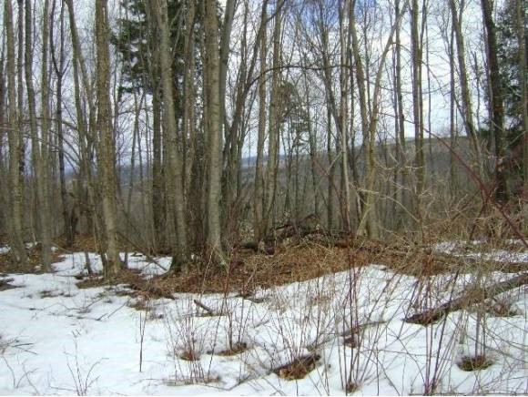 538 Mink Farm Road Lowell, VT 05847 - Photo 8 of 17