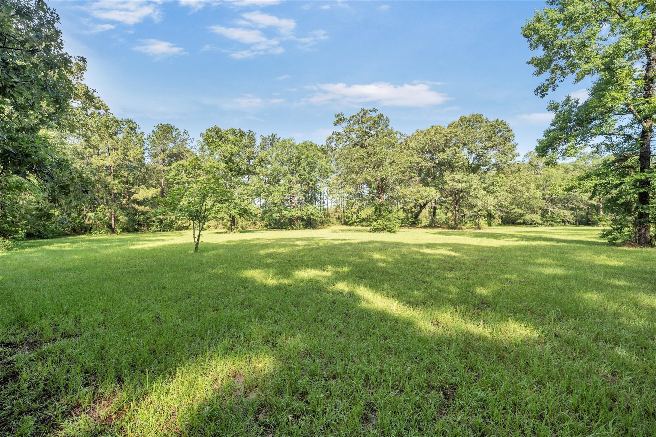 3197 Mann Road Conroe, TX 77303 - Photo 13 of 48 a view of a green field