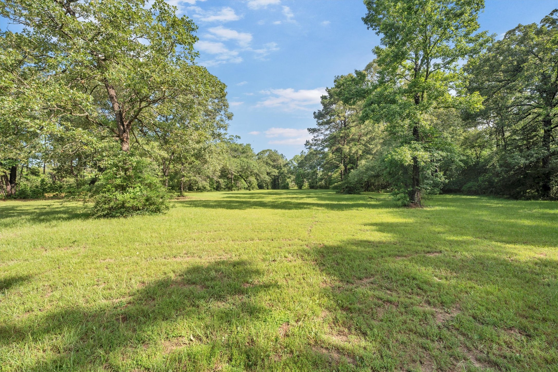 3197 Mann Road Conroe, TX 77303 - Photo 15 of 48 a view of a field with an ocean