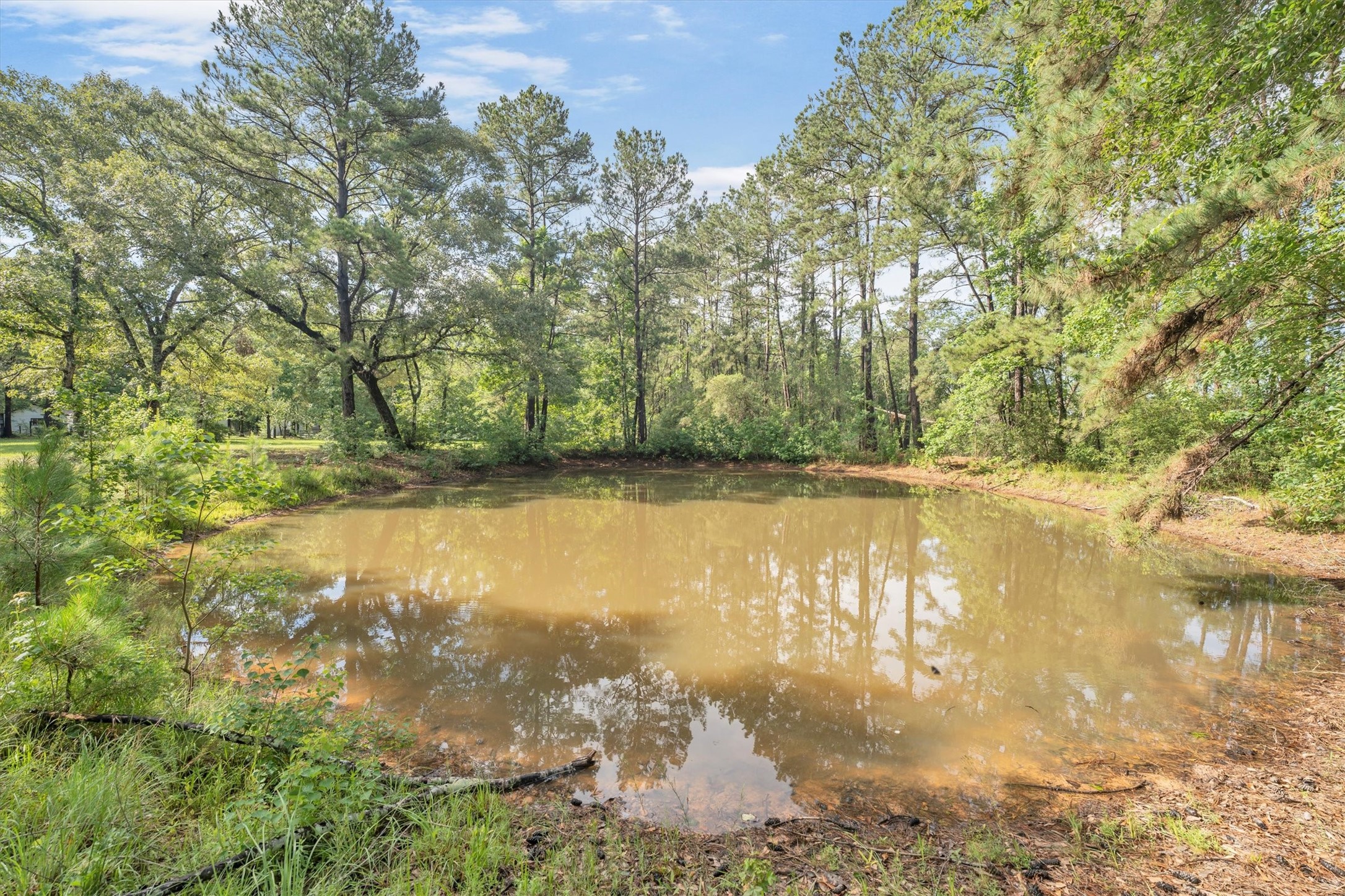 3197 Mann Road Conroe, TX 77303 - Photo 46 of 48 a view of a lake with a yard