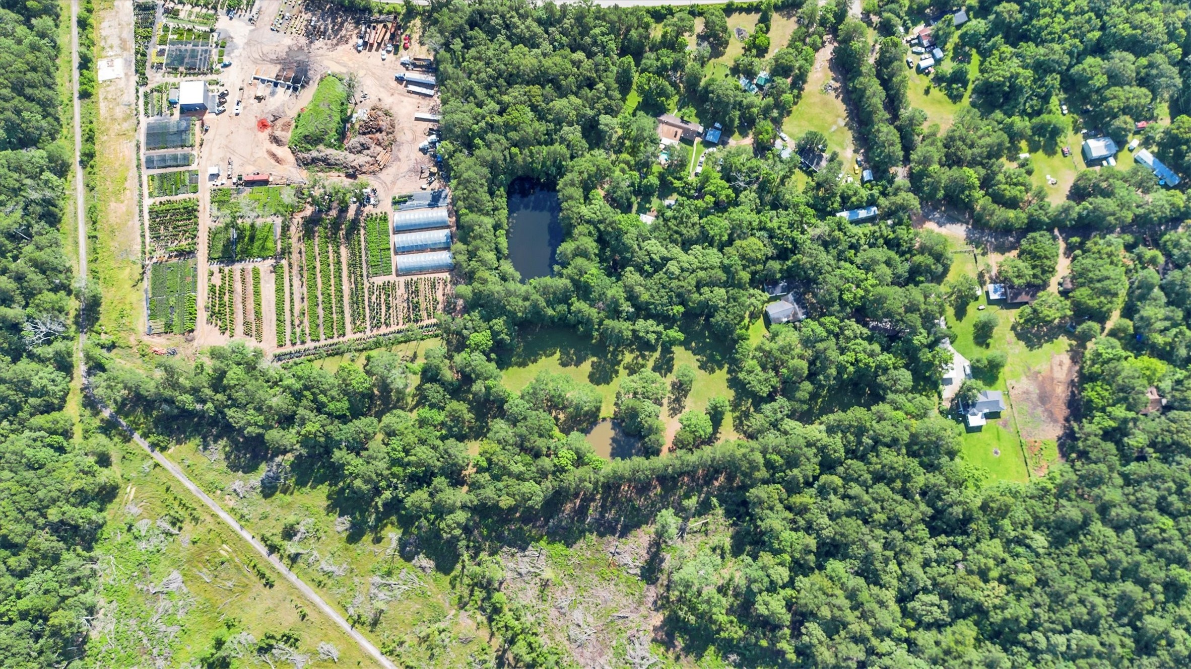 3197 Mann Road Conroe, TX 77303 - Photo 48 of 48 a view of a garden with plants