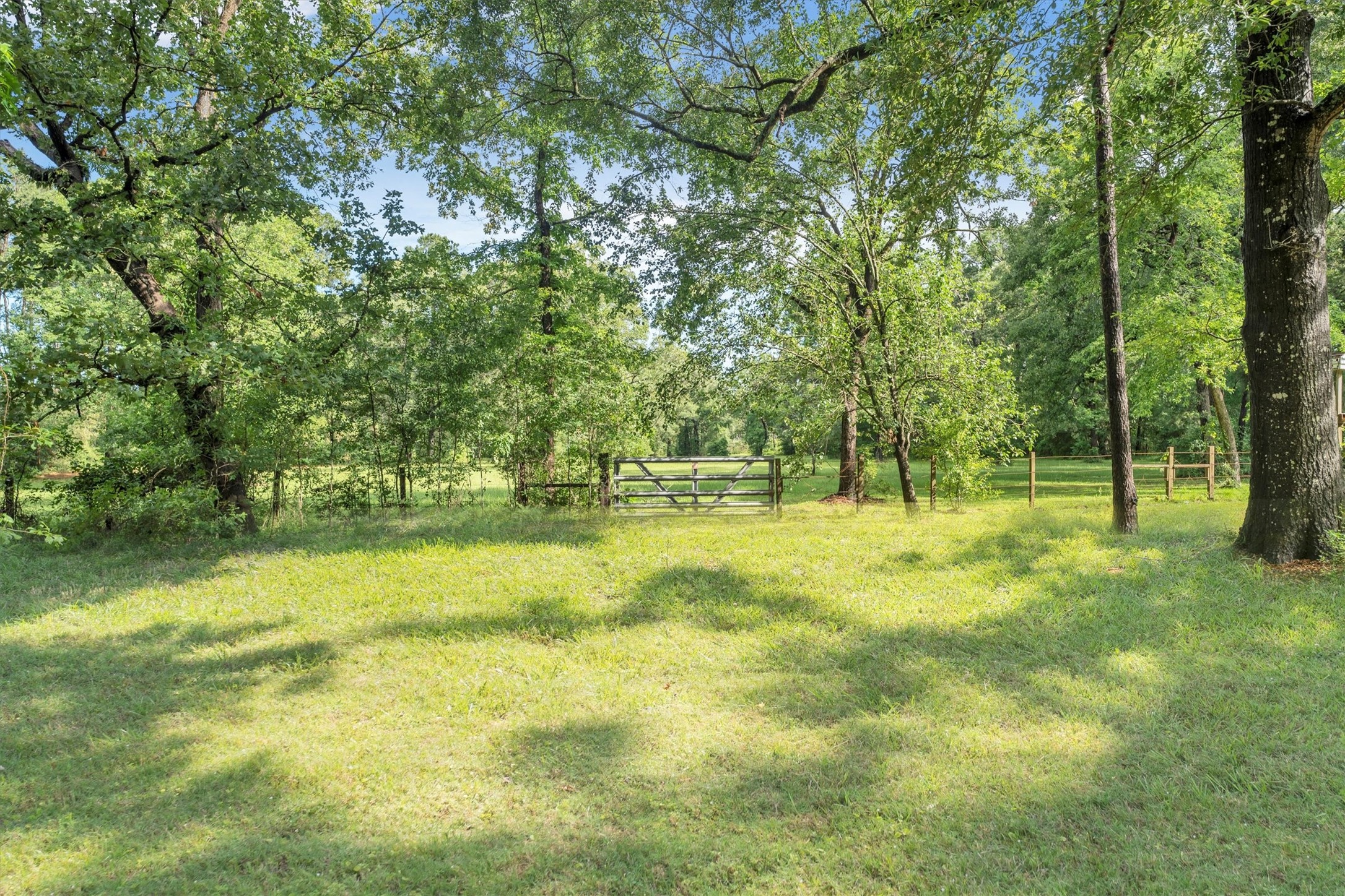 3197 Mann Road Conroe, TX 77303 - Photo 10 of 48 a view of outdoor space with trees all around