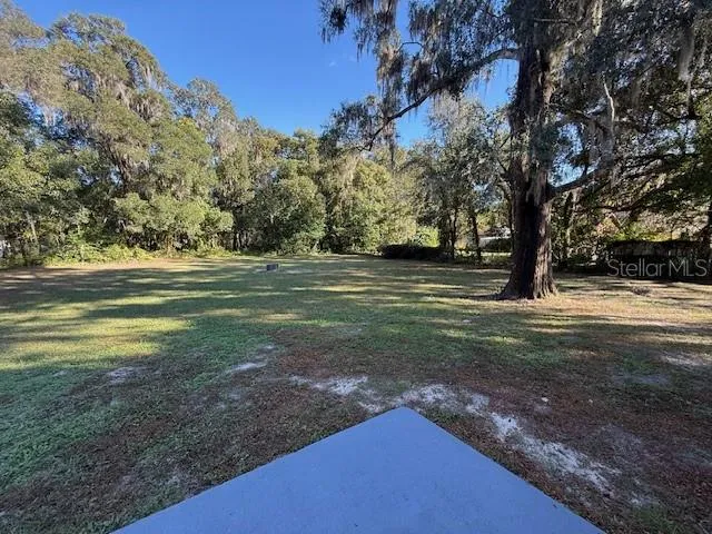 a view of outdoor space with trees