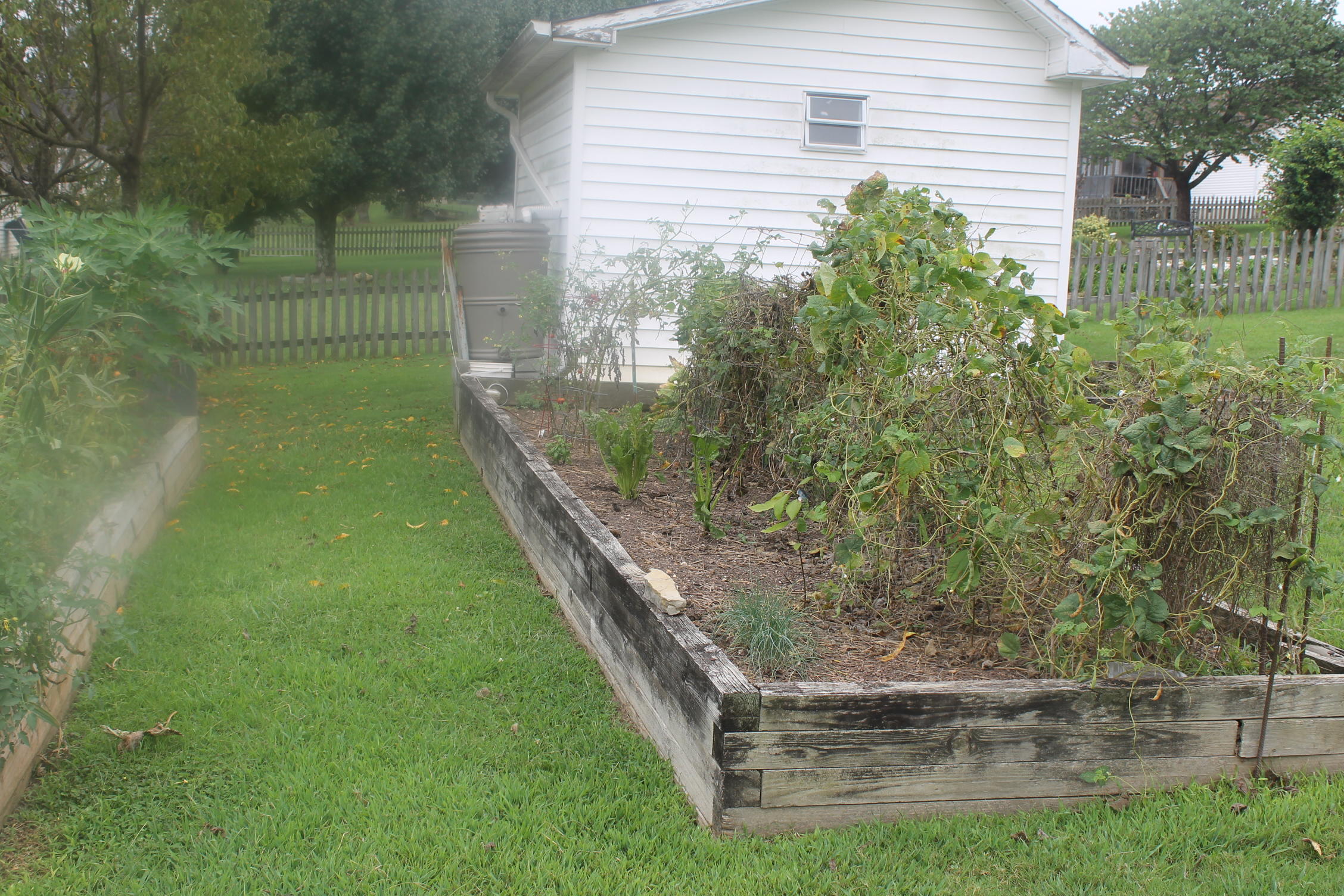 422 Chapman Road Ringgold, GA 30736 - Photo 23 of 38 IMG_8488