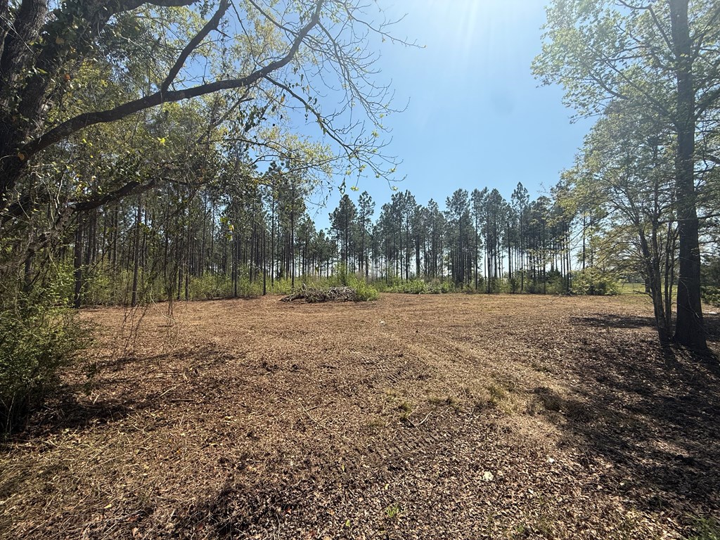 Lot 2 South County Road Slocomb, AL 36375 - Photo 14 of 19