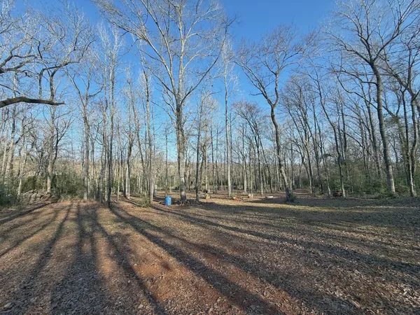 a view of a pathway with a yard