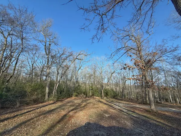 a view of a yard