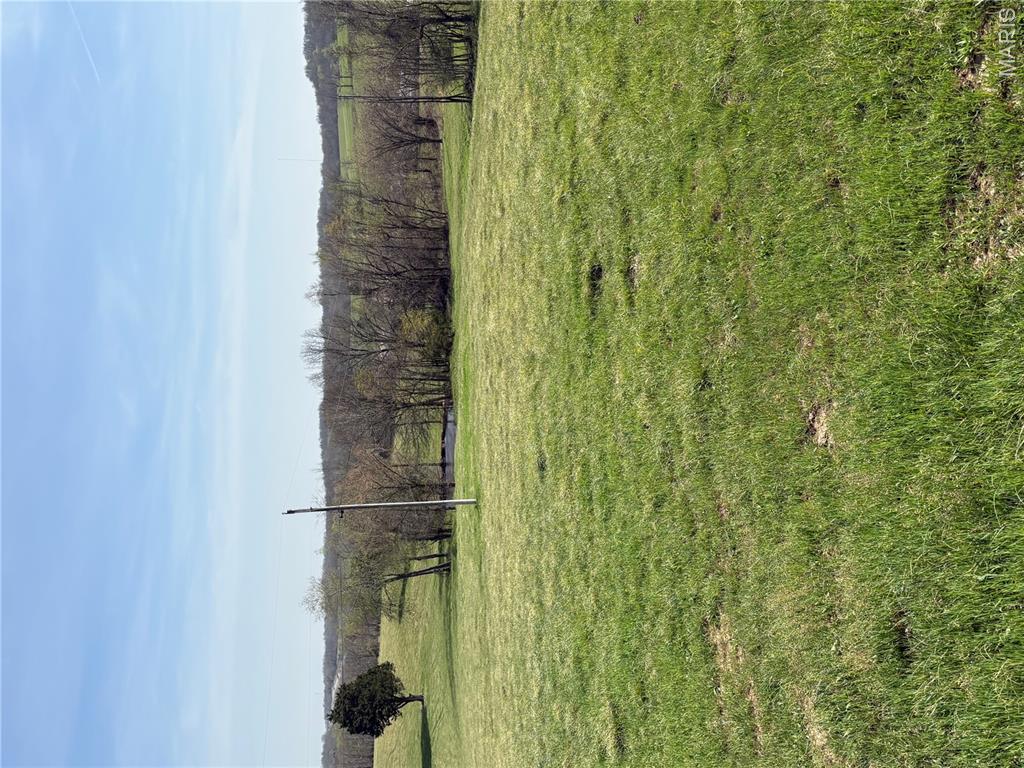0 County Road 520 Jackson, MO 63755 - Photo 2 of 9