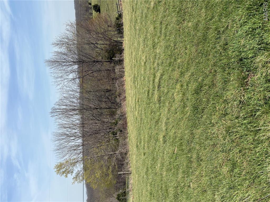 0 County Road 520 Jackson, MO 63755 - Photo 3 of 9