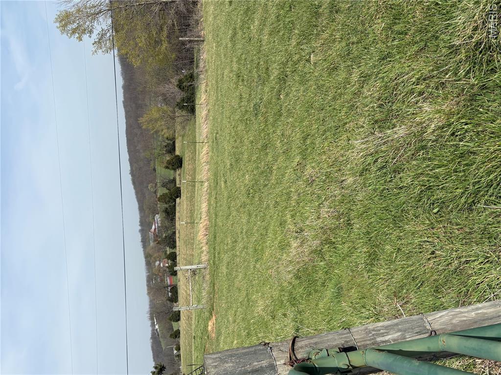 0 County Road 520 Jackson, MO 63755 - Photo 4 of 9