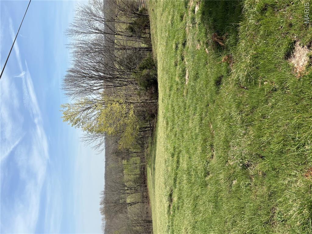 0 County Road 520 Jackson, MO 63755 - Photo 6 of 9