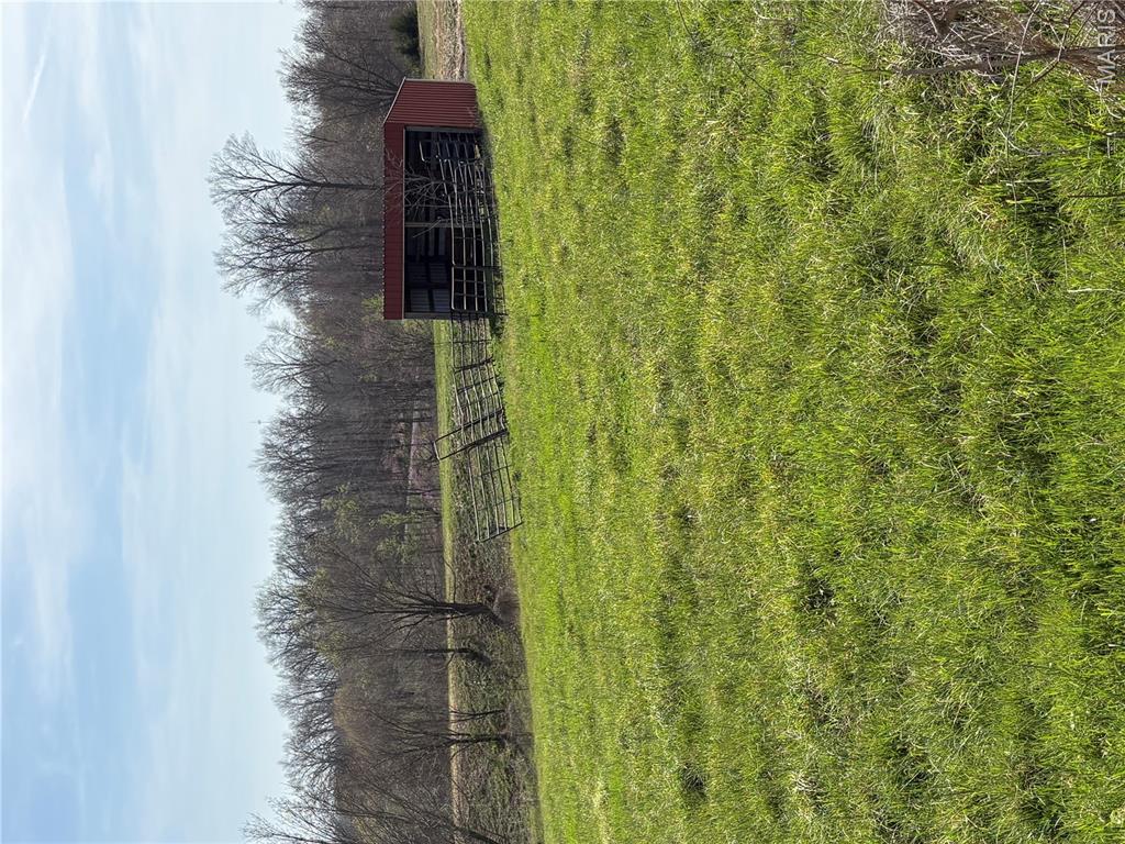 0 County Road 520 Jackson, MO 63755 - Photo 8 of 9
