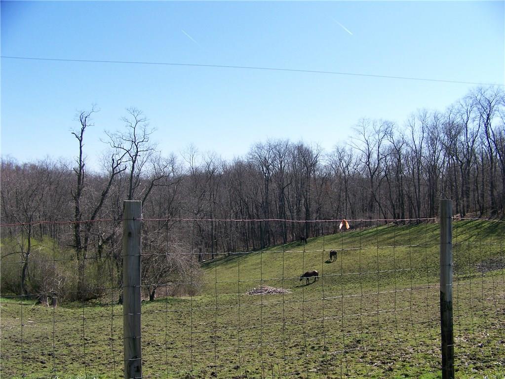 135 Cosky Lane Rochester, PA 15074 - Photo 22 of 23