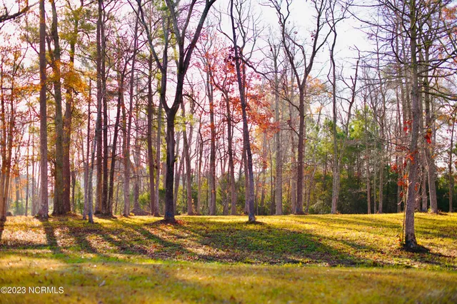 $47,900 | 161 Sunshine Drive, Arapahoe, NC 28510