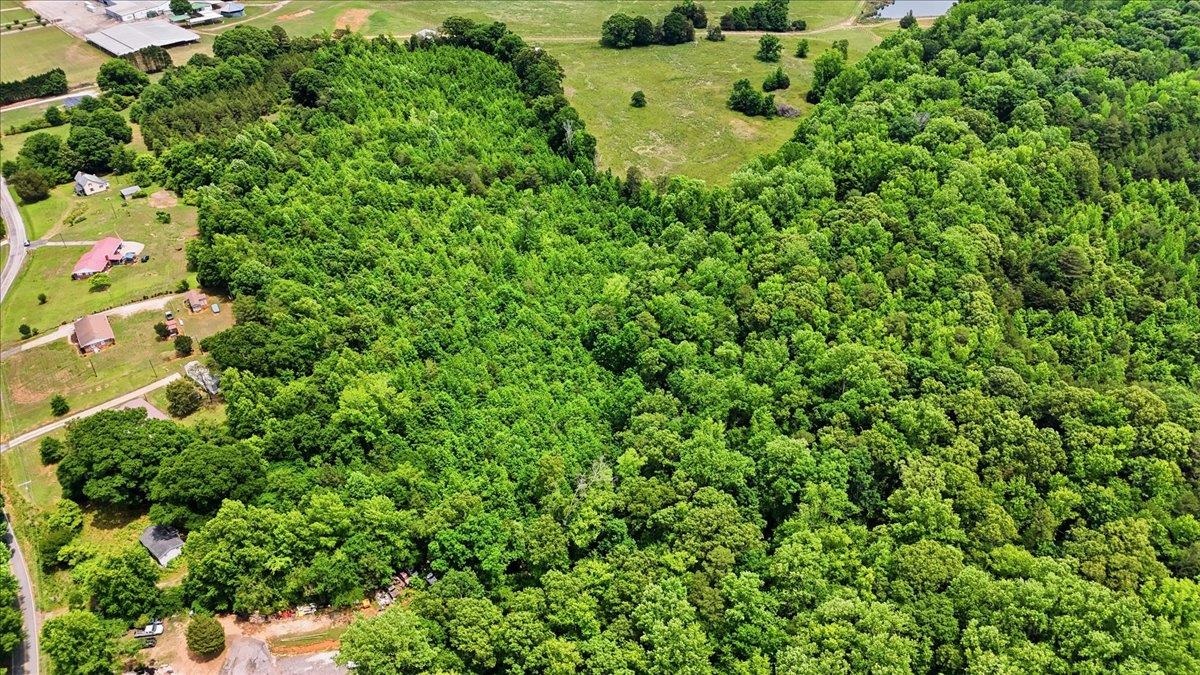 0 Woodville Road Pelzer, SC 29669 - Photo 8 of 12