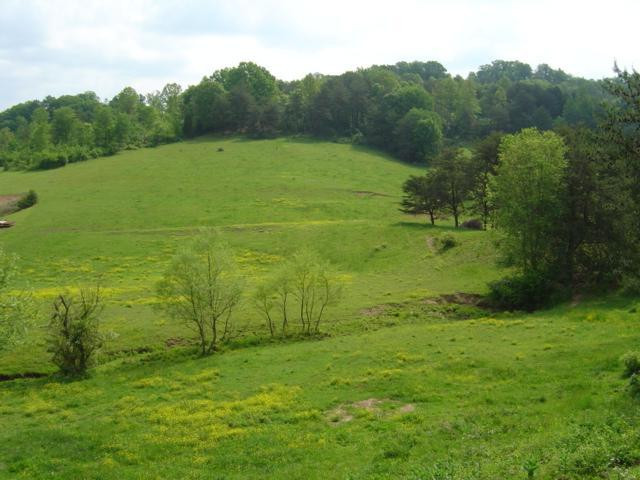 9999 Old Corbin Road London, KY 40744 - Photo 5 of 53 Photo 5