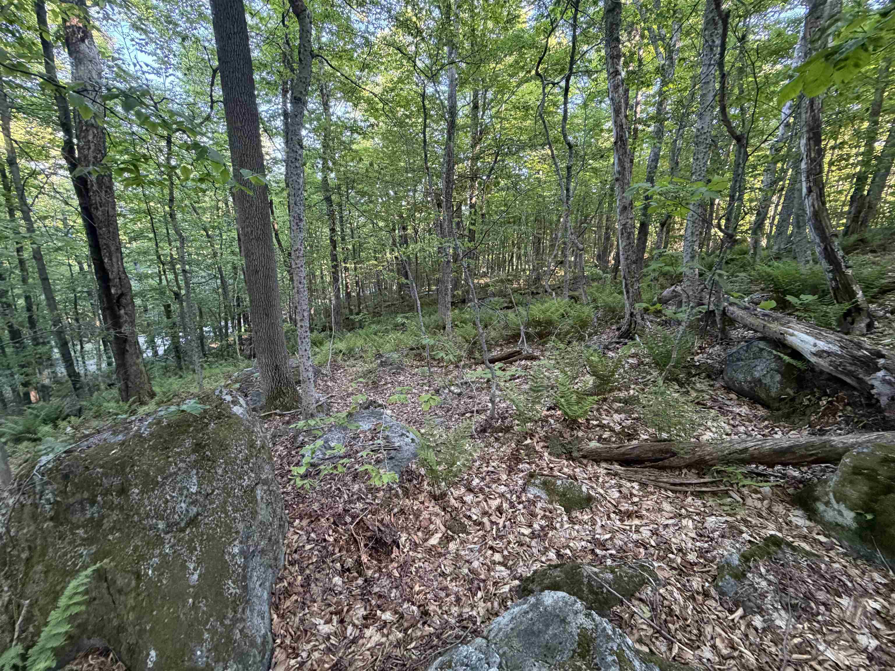 Scattered Timber Road Wilmington, VT 05363 - Photo 8 of 24