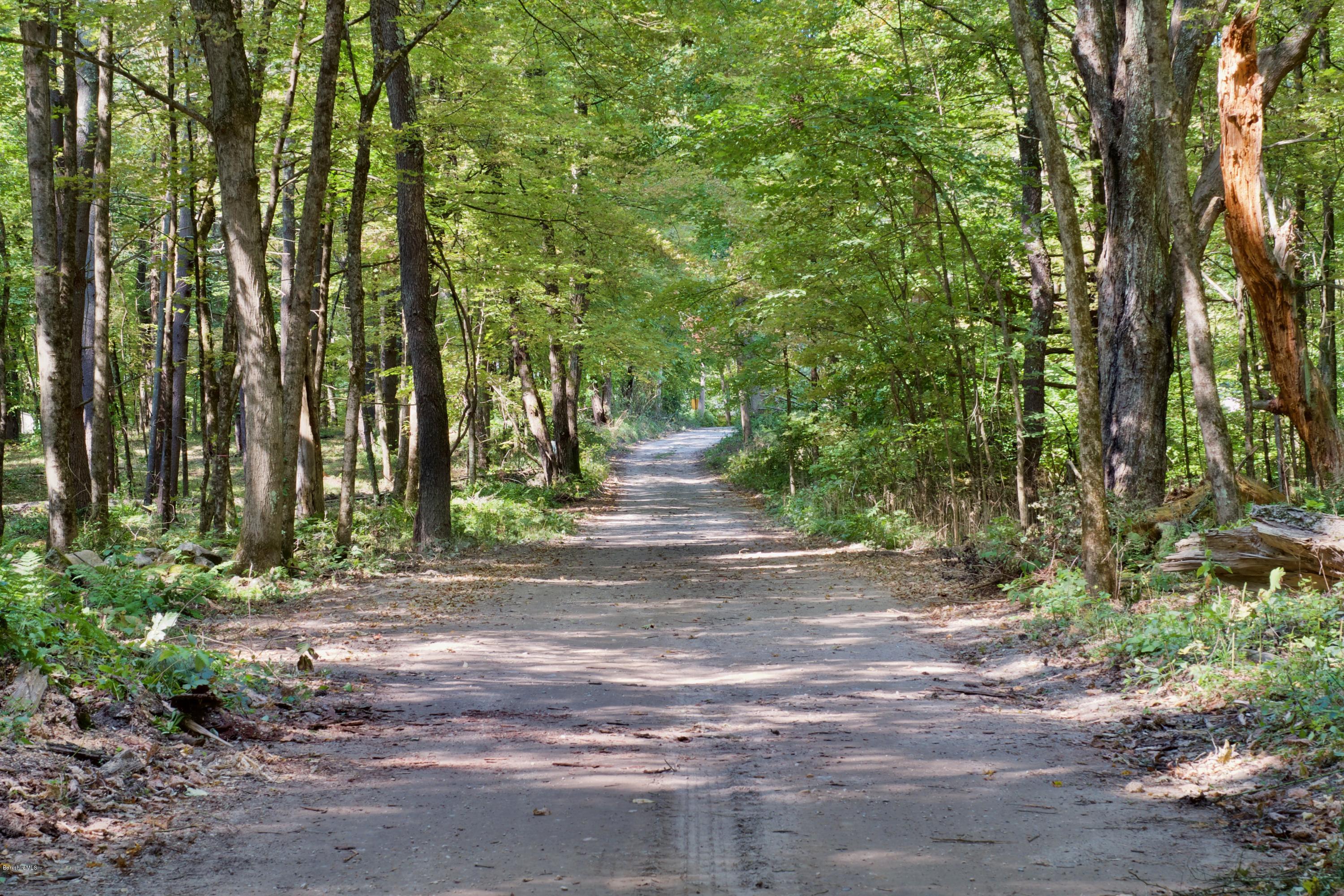 Lot 4 Konkapot Cross Road Southfield, MA 01259 - Photo 1 of 4 Road Shot