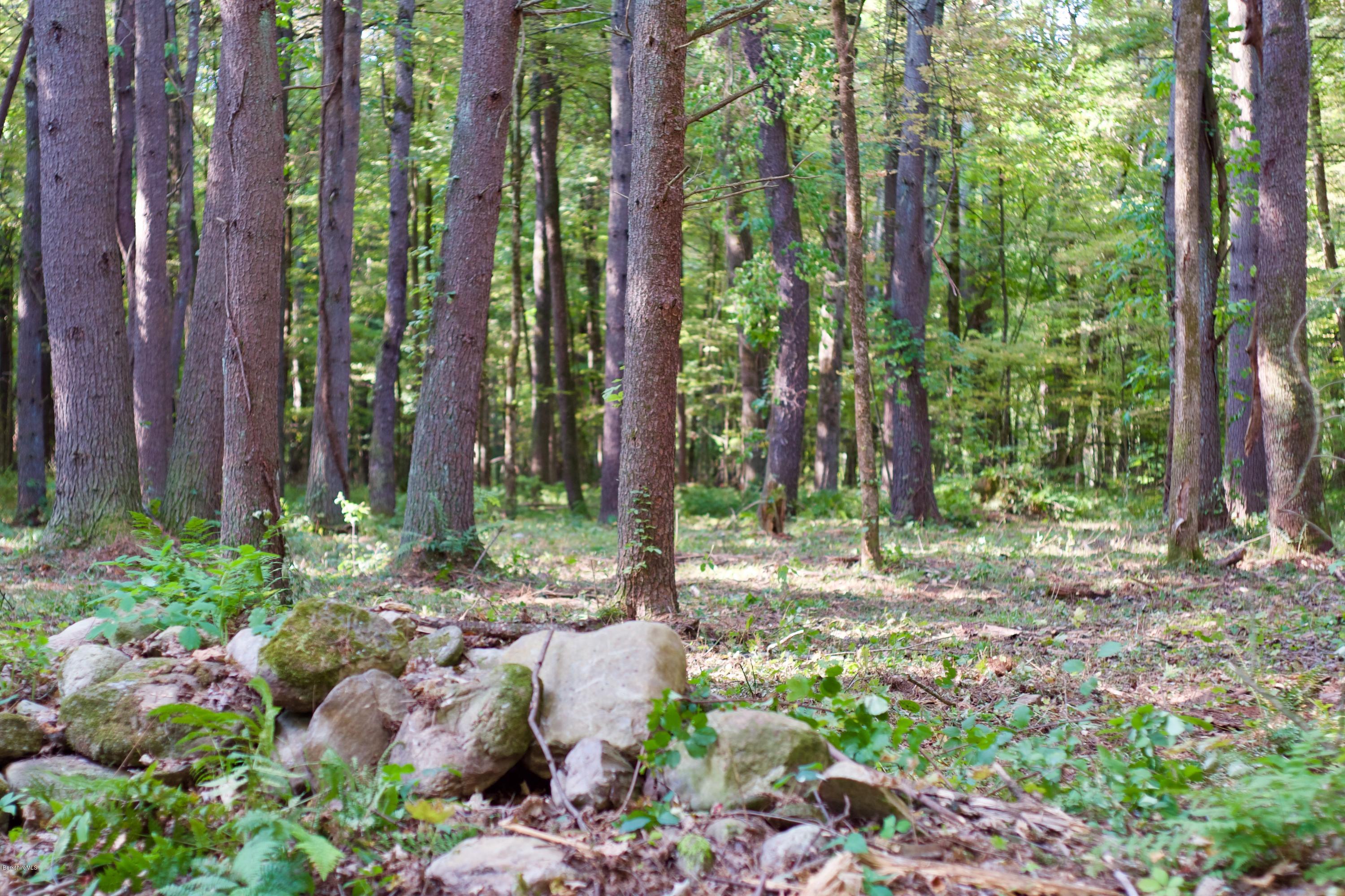Lot 4 Konkapot Cross Road Southfield, MA 01259 - Photo 2 of 4 Lot 4