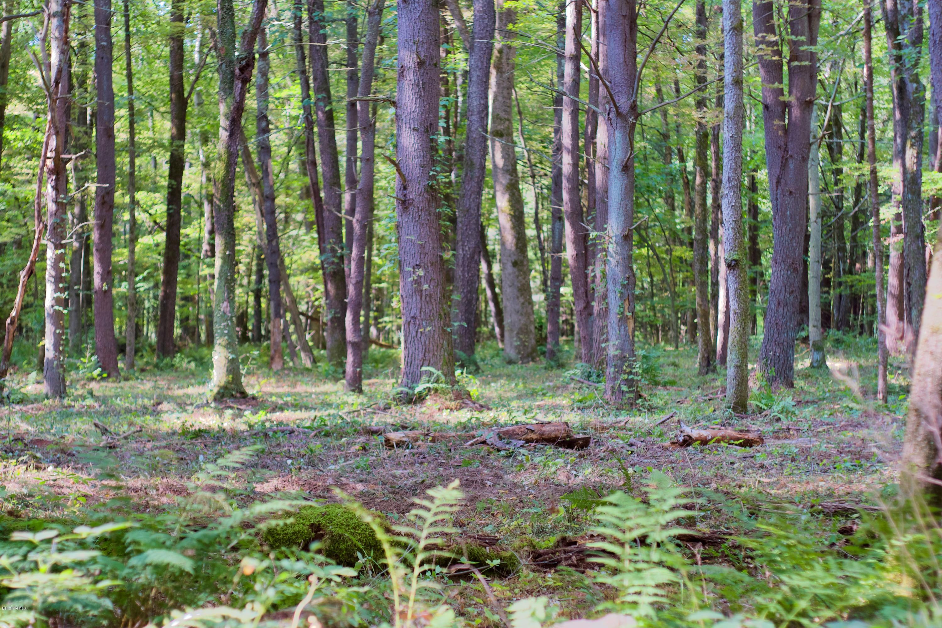 Lot 4 Konkapot Cross Road Southfield, MA 01259 - Photo 3 of 4 Lot 4