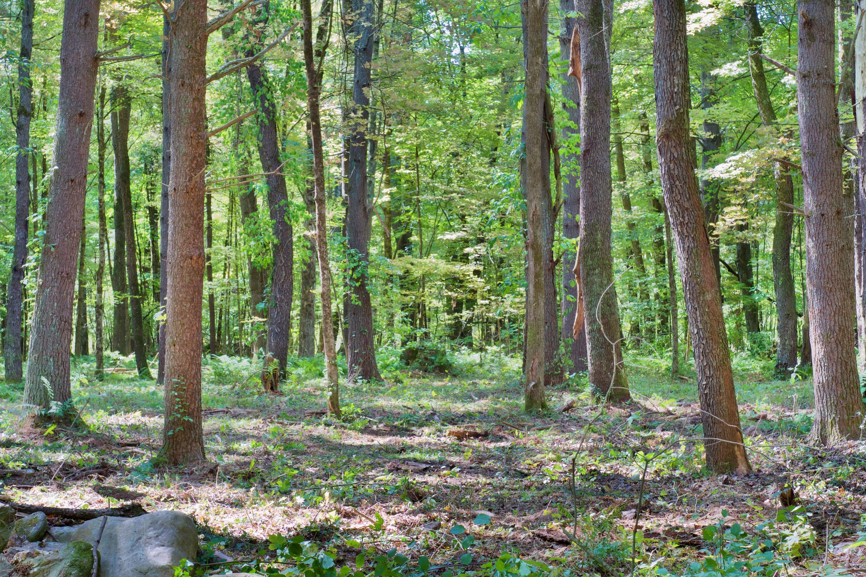 Lot 4 Konkapot Cross Road Southfield, MA 01259 - Photo 4 of 4 Lot 4