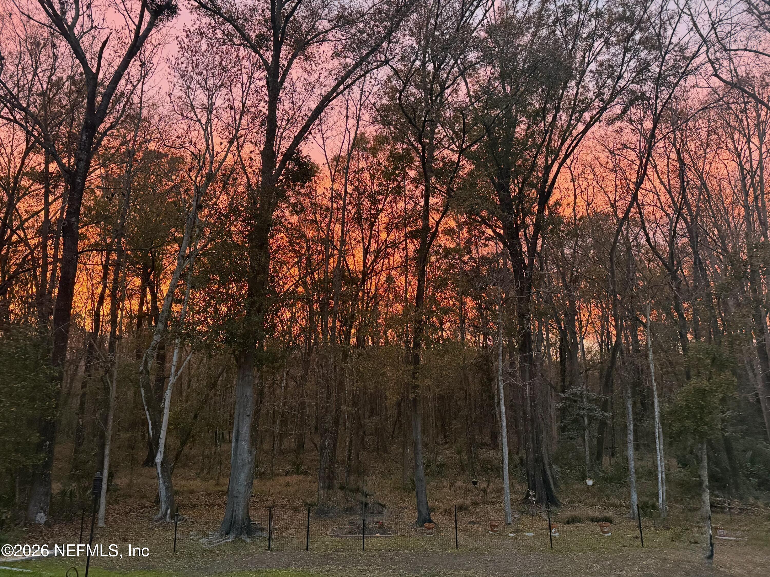 1764 Redwood Lane Middleburg, FL 32068 - Photo 48 of 62 Sunset view from the patio