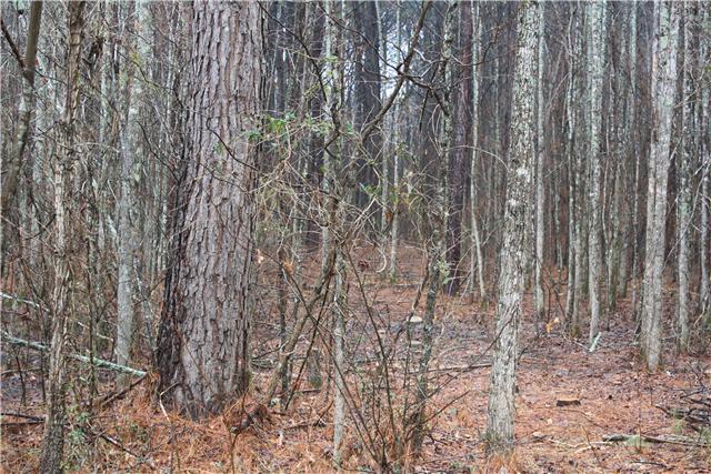 0 Sand Springs Road Athens, AL 35613 - Photo 2 of 5