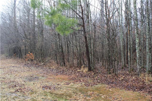 0 Sand Springs Road Athens, AL 35613 - Photo 3 of 5