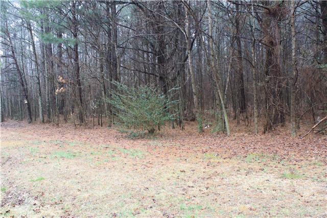 0 Sand Springs Road Athens, AL 35613 - Photo 4 of 5