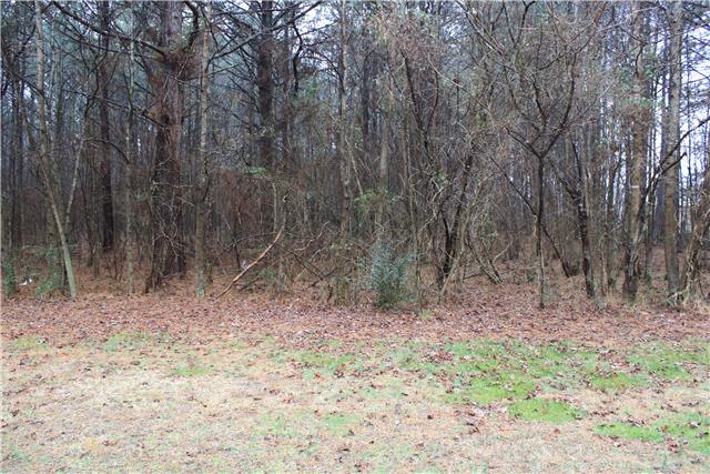 0 Sand Springs Road Athens, AL 35613 - Photo 5 of 5