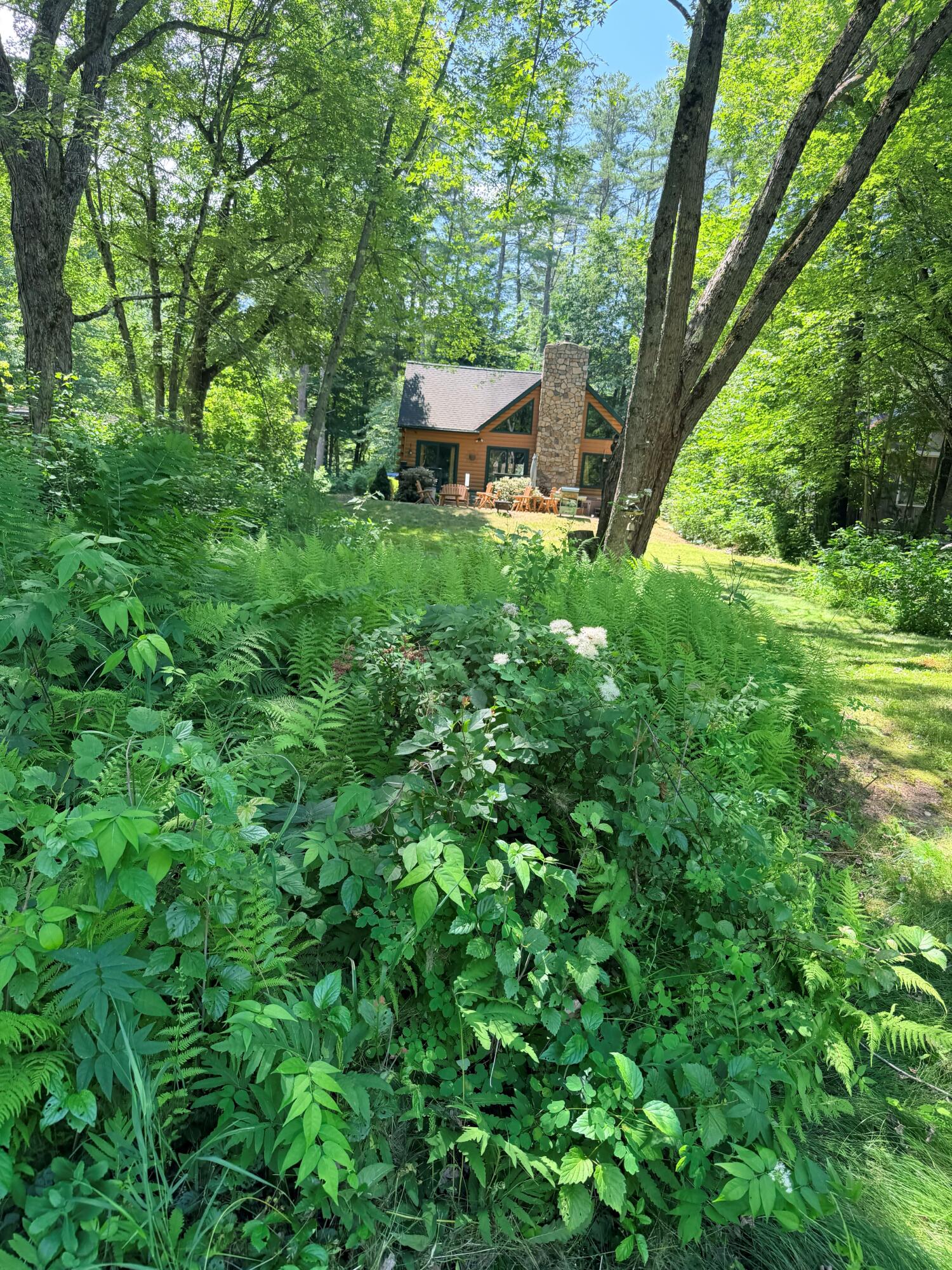 31 Welch Road Casco, ME 04015 - Photo 56 of 71 20260710_161231824_iOSa