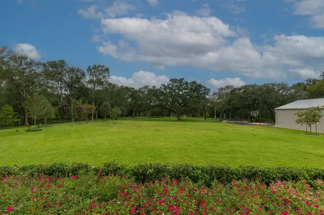a view of a garden with a building in the background