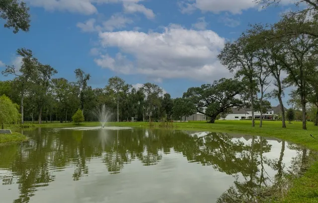 a view of a lake with a large trees